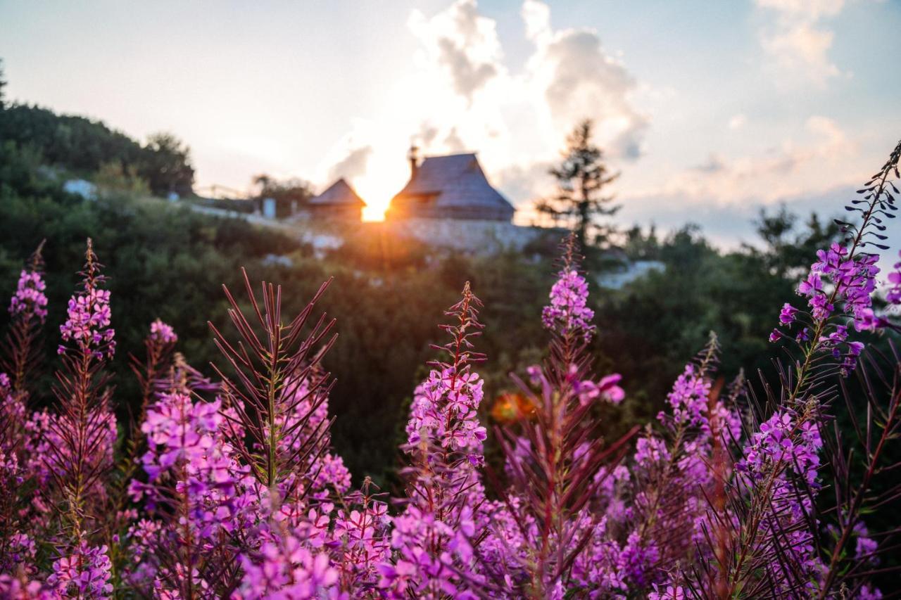 Koca Ojstrica - Velika Planina Vila Stahovica Exterior foto
