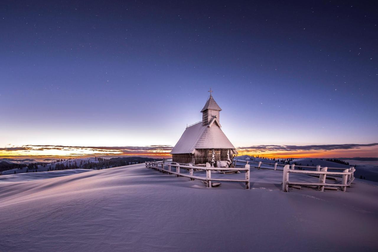 Koca Ojstrica - Velika Planina Vila Stahovica Exterior foto