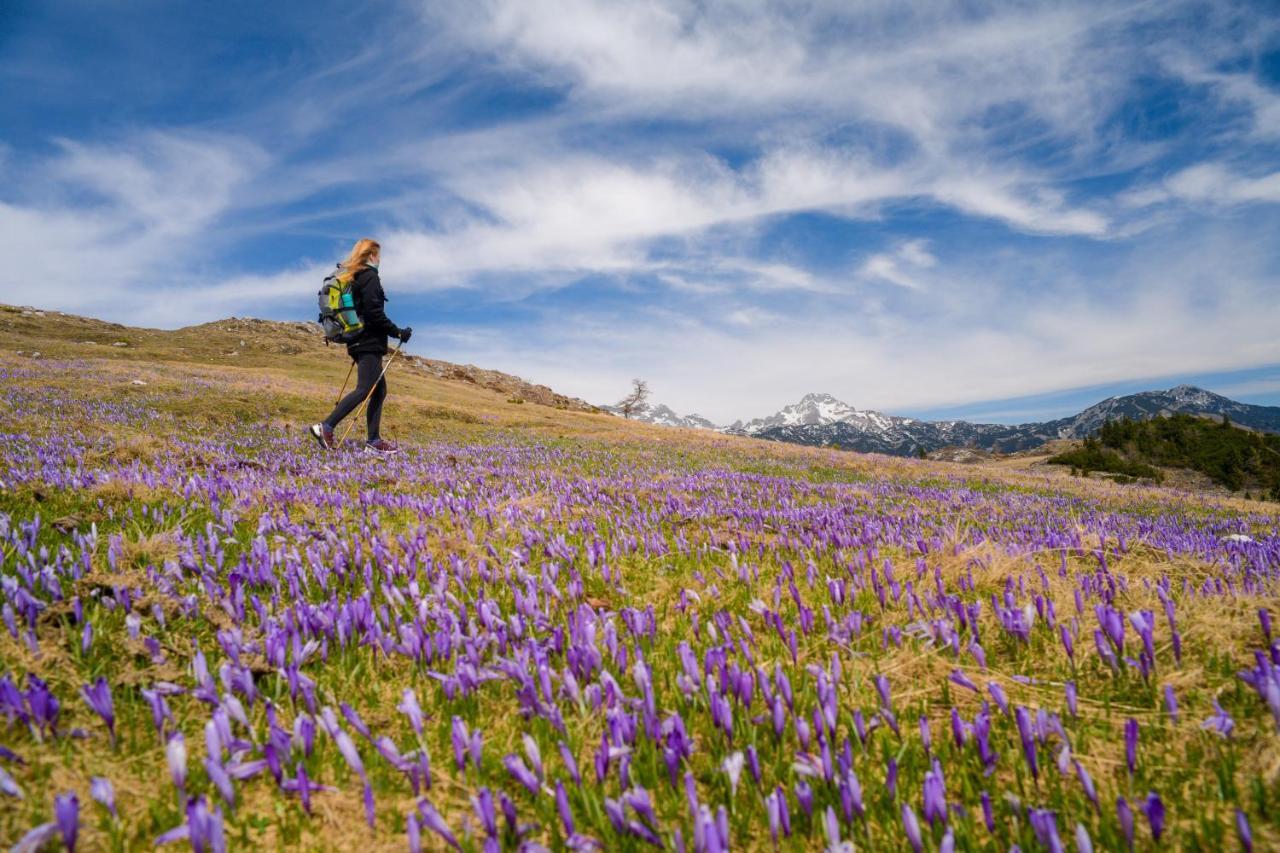 Koca Ojstrica - Velika Planina Vila Stahovica Exterior foto