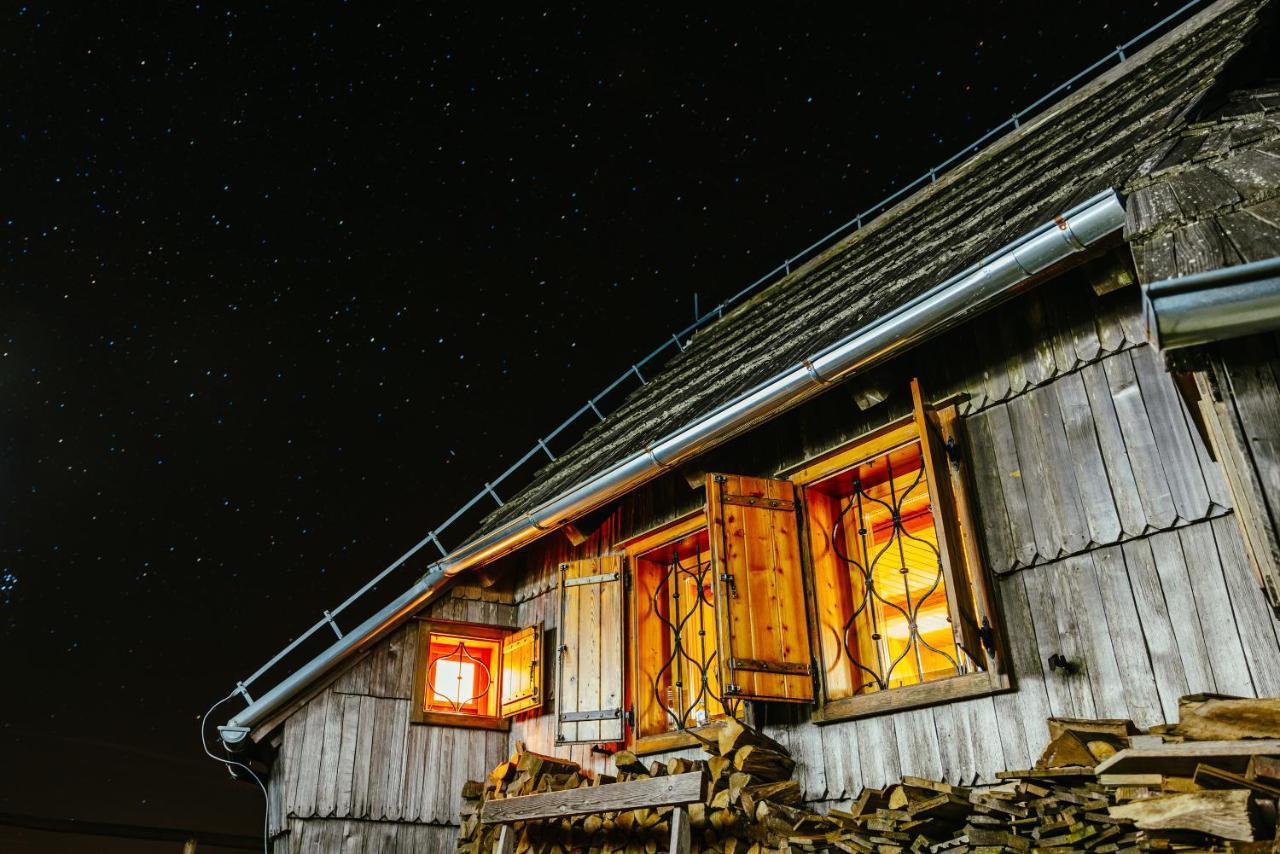 Koca Ojstrica - Velika Planina Vila Stahovica Exterior foto