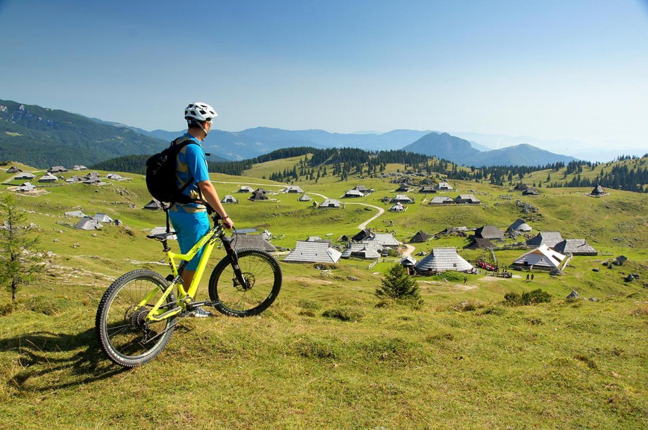 Koca Ojstrica - Velika Planina Vila Stahovica Exterior foto
