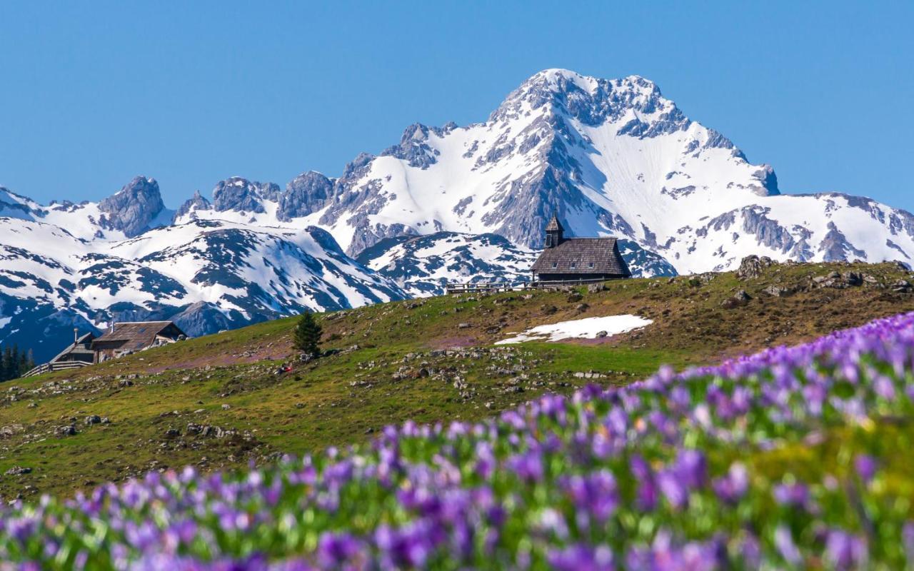 Koca Ojstrica - Velika Planina Vila Stahovica Exterior foto