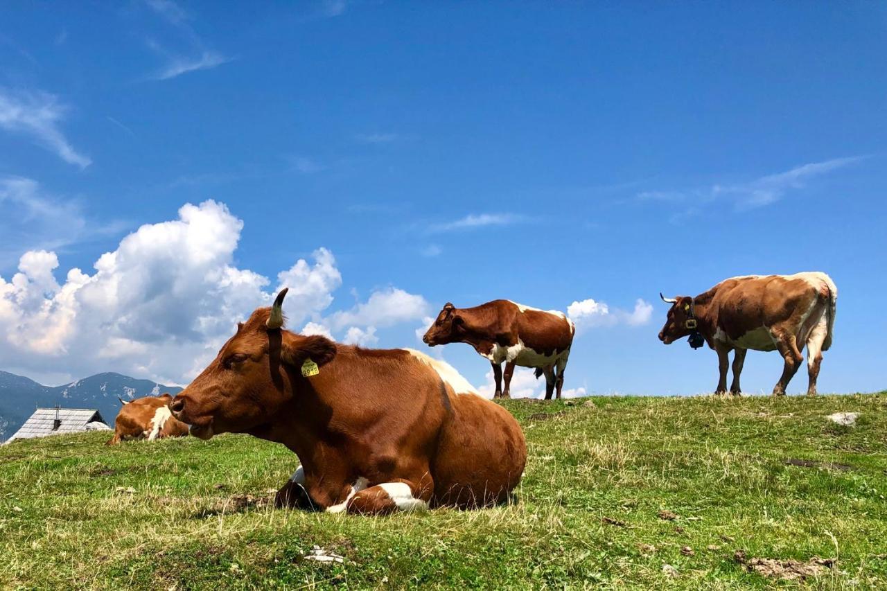 Koca Ojstrica - Velika Planina Vila Stahovica Exterior foto