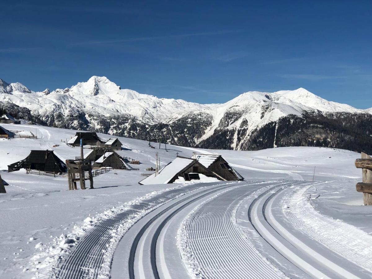 Koca Ojstrica - Velika Planina Vila Stahovica Exterior foto