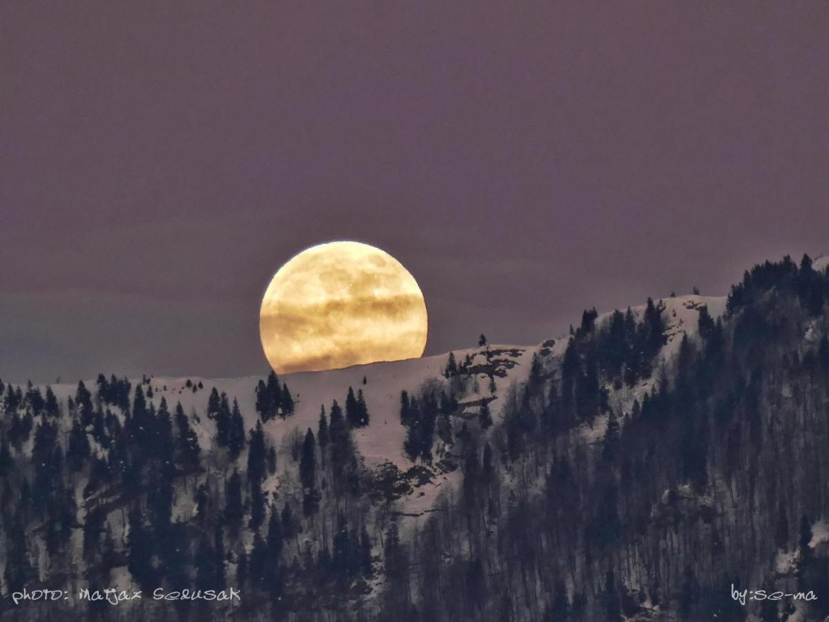 Koca Ojstrica - Velika Planina Vila Stahovica Exterior foto